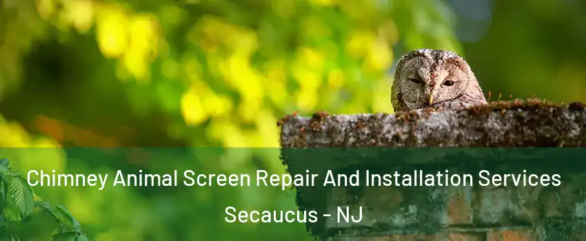 Chimney Animal Screen Repair And Installation Services Secaucus - NJ