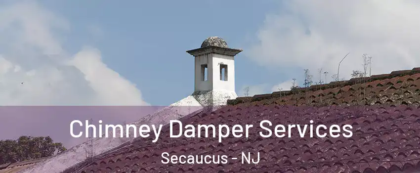  Chimney Damper Services Secaucus - NJ