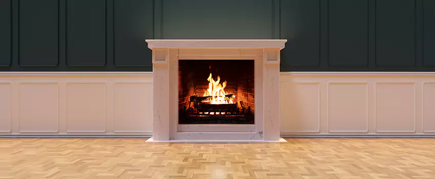 Napoleon Electric Fireplaces Inspection Service in Secaucus, New Jersey