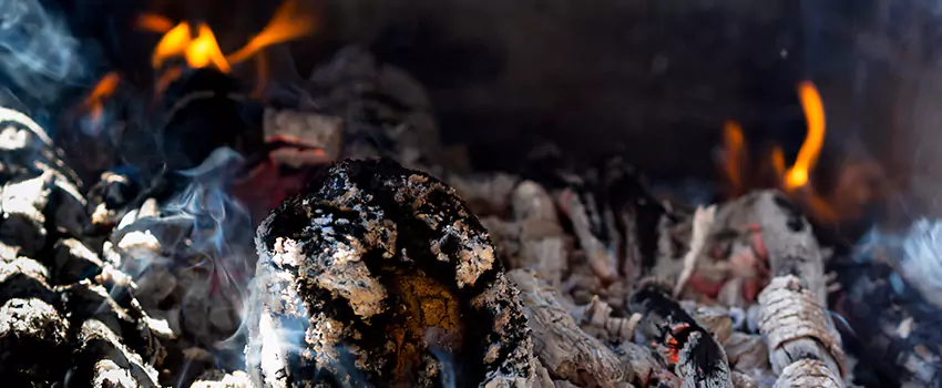 Creosote Removal Experts in Secaucus, NJ